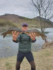 매전지44.42 올첫4짜로 시작