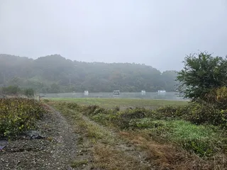 제일대물허리급월척 