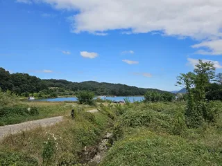 제일4짜월척.마리수 