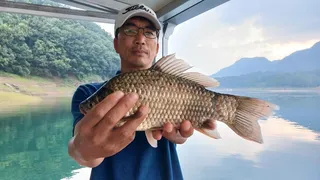 키다리허리급월척.제일월척 .문골월척 