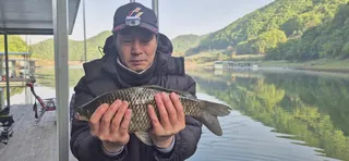 덕곡낚시터 허리급월척 