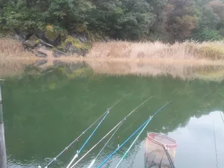 물골4짜.제일대물허리급 