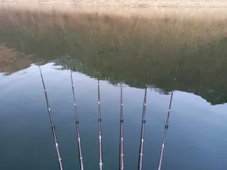 충주호덕곡낚시터 허리급월척 