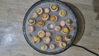 한번 속아 보실래요????