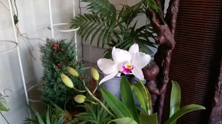 나들이 시즌 (필독)