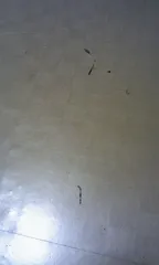 인자 삭제 않해요