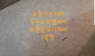 유동가지채비 유동스위벨채비 외통끝보기채비