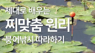 찌맞춤 기본원리(입문자용, 고수패스)