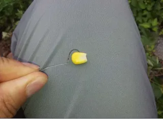 옥시시 바늘에 착~감싸기