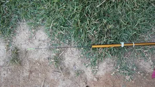 초릿대 말썽 해결 방법