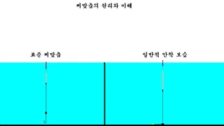 찌맞춤과 찌올림에 대한 과학적 접근