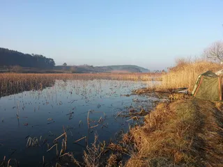 낚시..4짜..그리고 유행