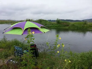 바람불때 파라솔 어떻게..............