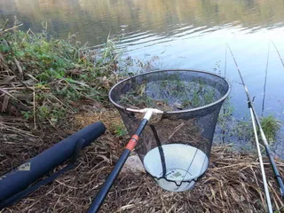 ****간단한 팁하나~~~!!!