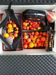 " 찌 " 예민함의 기준을 어떻게 측정하세요???