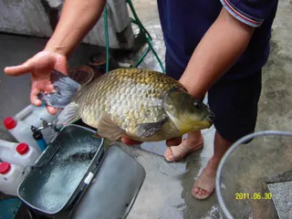 4짜 잡는법과 기록경신하기