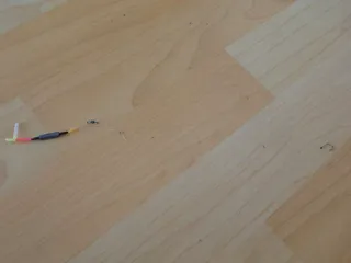 채비명 동동채비 입니다.