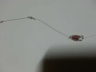 이지클립추 사용팁 입니다