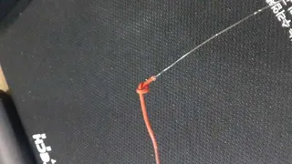 간결한 초릿대 매듭