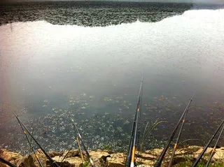 옥수수 바닥 내림 중층 비교 및 대물띄울낚시 사용소감