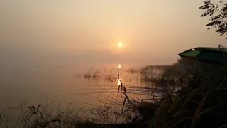 동작감지 센서빌