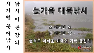 [동영상]늦가을 11월의 붕어대물낚시 월척도 아쉬운 최대어 갱신기