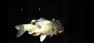 이것이 낚시대회다/낚시는 전투다 납회 현장