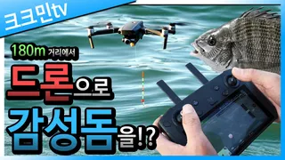 드론 낚시 / 감성돔 / 학꽁치 / 막대찌