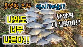 1박에 월척 20수해남붕어 쏟아지네~