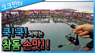 참돔 손맛 보고왔습니다