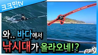 문어낚시 3편 / 문어 숙회 / 왕등도