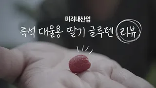 미리내산업 즉석 대물용 딸기 글루텐 리뷰