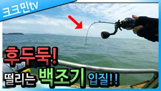 백조기 낚시 / 보구치 / 홍원항
