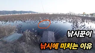 낚시꾼이 낚시에 미치는 이유