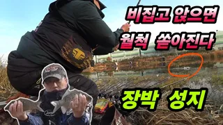 막 터져나온다지금시기 이런데가 어디있노