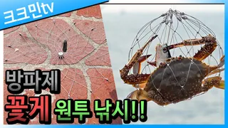 꽃게 낚시 / 꽃게탕 / 원투 / 게포획망 / 격포항