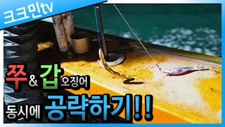 가지채비로 쭈꾸미와 갑오징어 낚시
