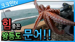 문어 낚시 2편 / 문어튀김 / 왕등도 선상낚시