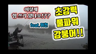 군위 위천 강붕어힘끝내주네요~^^