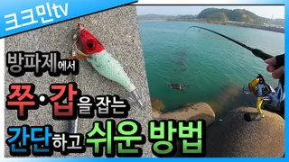 쭈꾸미 갑오징어 워킹 낚시 / 홍원항 방파제
