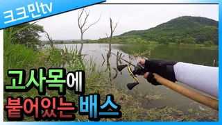 산란 후 노싱커 배스낚시 / 상주 / 야마데스2 스페셜