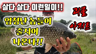 엄청난 놈들과 한판승부라이브 44대물을 만나다