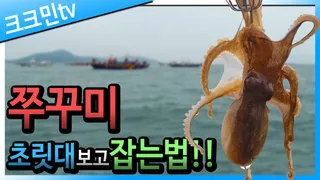 쭈꾸미 낚시 / 선상 / 대천항 / 쭈꾸미삼겹살볶음