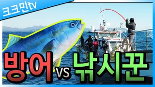 방어 버티컬지깅 낚시 / 생선가스