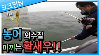 농어 외수질낚시 / 농어회 / 우럭구이 / 오천항
