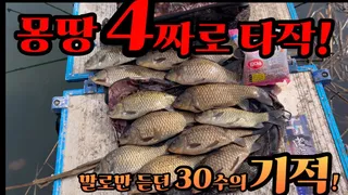 발 빠른자가 대물을 먼저 낚는다  말로만 듣던 4짜타작의 기적