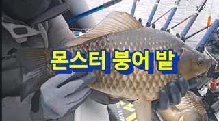 몬스터 붕어들의 성지