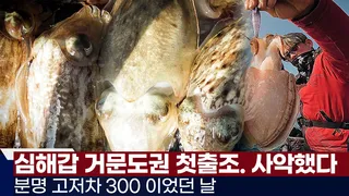 풍낚TV 거문도권 심해갑오징어/고저차 300인데 무슨일/기본단차와 가짓줄의 길이/고흥 스페셜드림호/Cuttlefish War