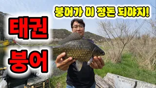 태권붕어이런 강에 이런놈이