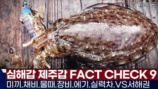 풍낚TV 심해갑 제주갑의 팩트 체크 9가지/미끼 물때 채비 장비 에기 실력차 그리고 서해권과의 차이/기본단차와 가짓줄의 길이/제주 제우스호/Cuttlefish War